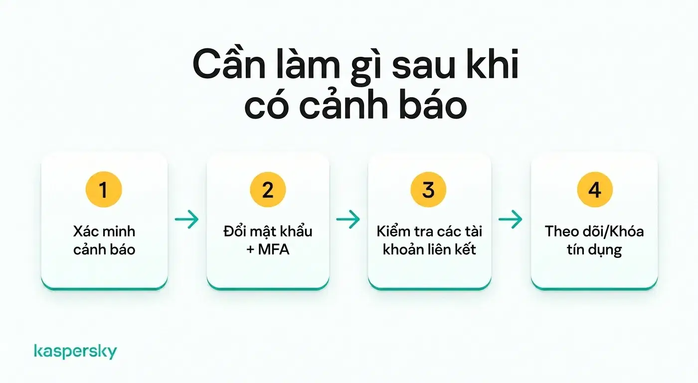 Bốn bước cần làm sau cảnh báo đánh cắp danh tính, từ xác minh đến kiểm tra tín dụng