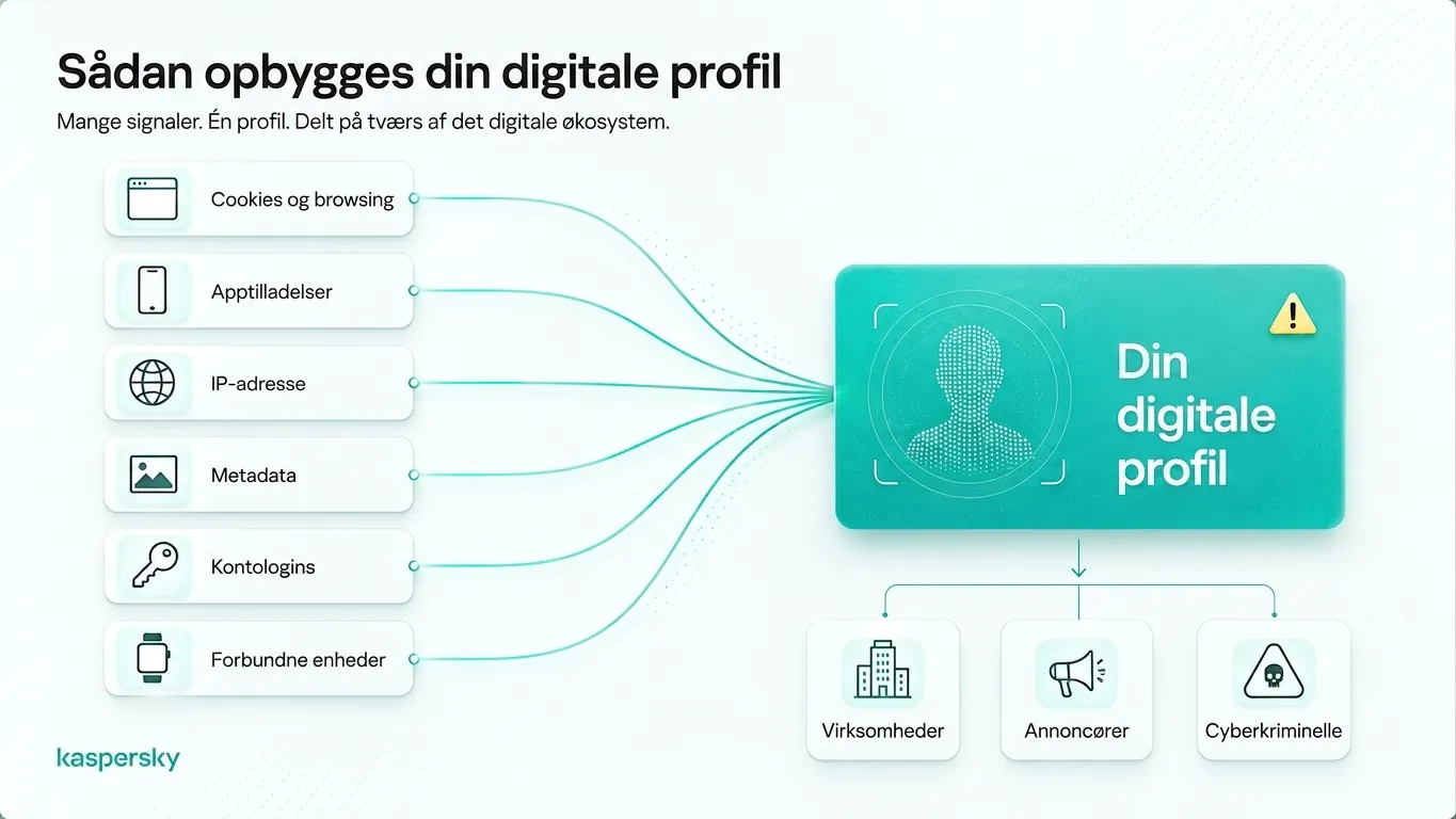 Digital profile built from browsing data, app permissions, IP addresses, metadata, and connected devices