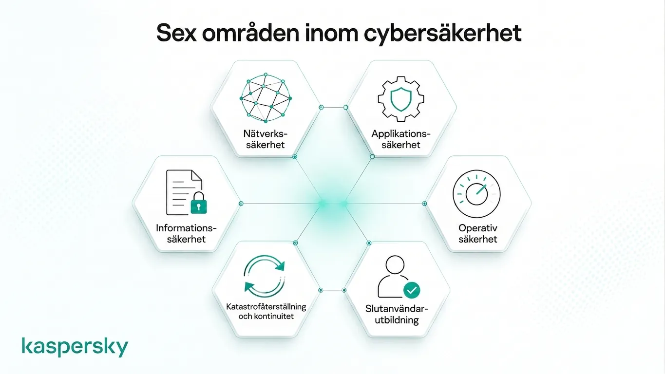 Diagram som visar cybersäkerhetens sex kärndomäner