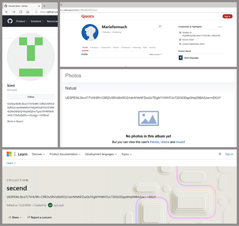 Profiles on popular online platforms containing a malicious code