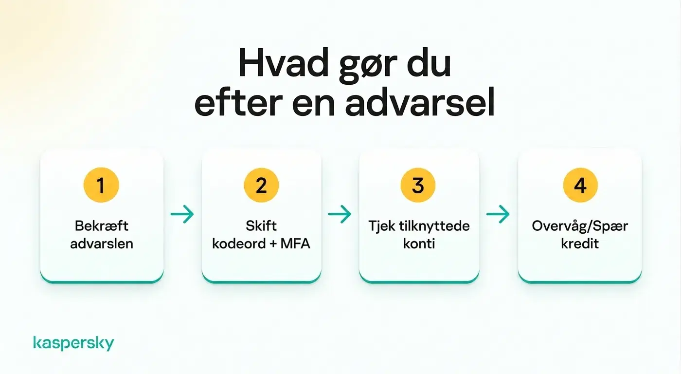 Fire trin, du kan tage efter en identitetsalarmering — fra verifikation til kontrol af din kredit