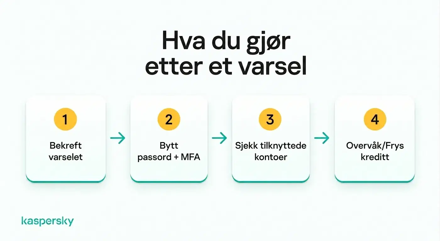 Fire trinn å ta etter et varsel om identitetstyveri, fra verifisering til kontroll av kreditt