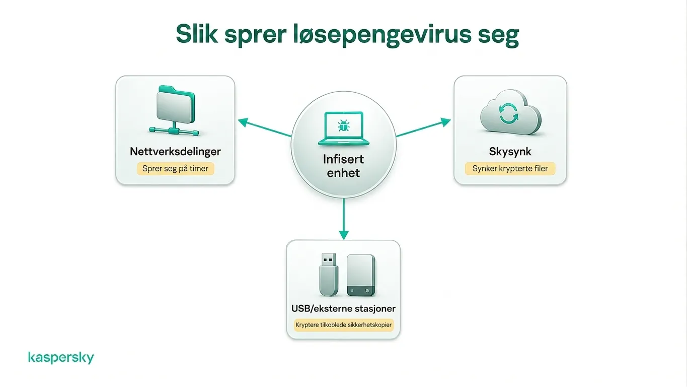Løsepengevirus som sprer seg til nettverksandeler, skylagring og eksterne disker