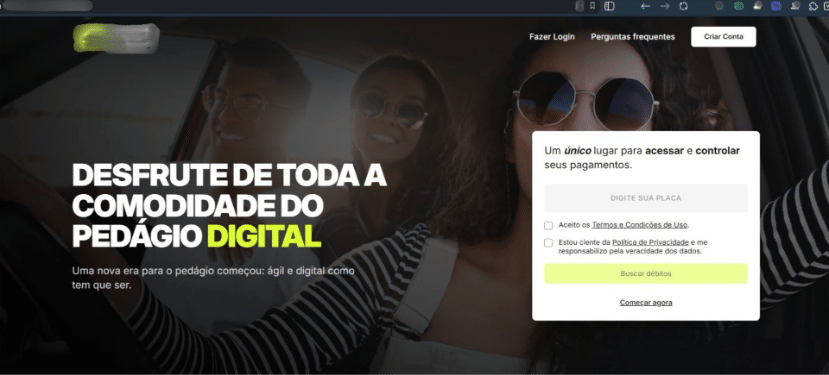 Site falso simula a identidade de sistemas de pagamento oficiais para enganar v&iacute;timas.