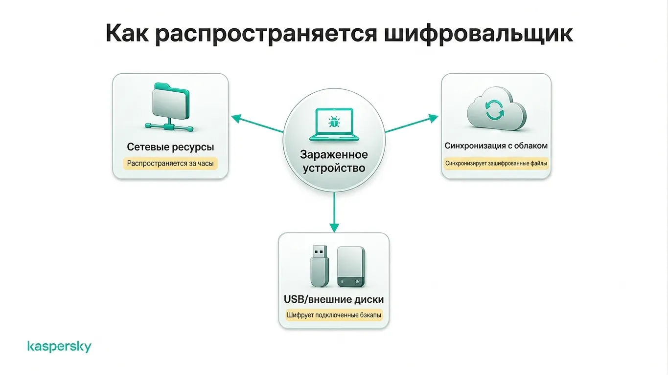 Программа‑вымогатель распространяется на сетевые ресурсы, облачное хранилище и внешние диски