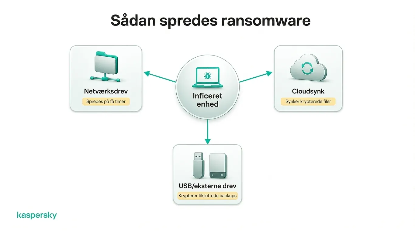 Ransomware, der spreder sig til netværksdrev, skylagring og eksterne drev
