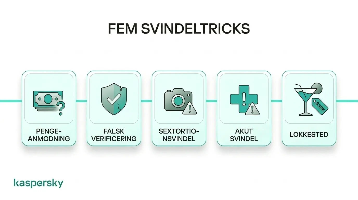 Oversigt over almindelige svindelmetoder ved engangsknald og advarselstegn
