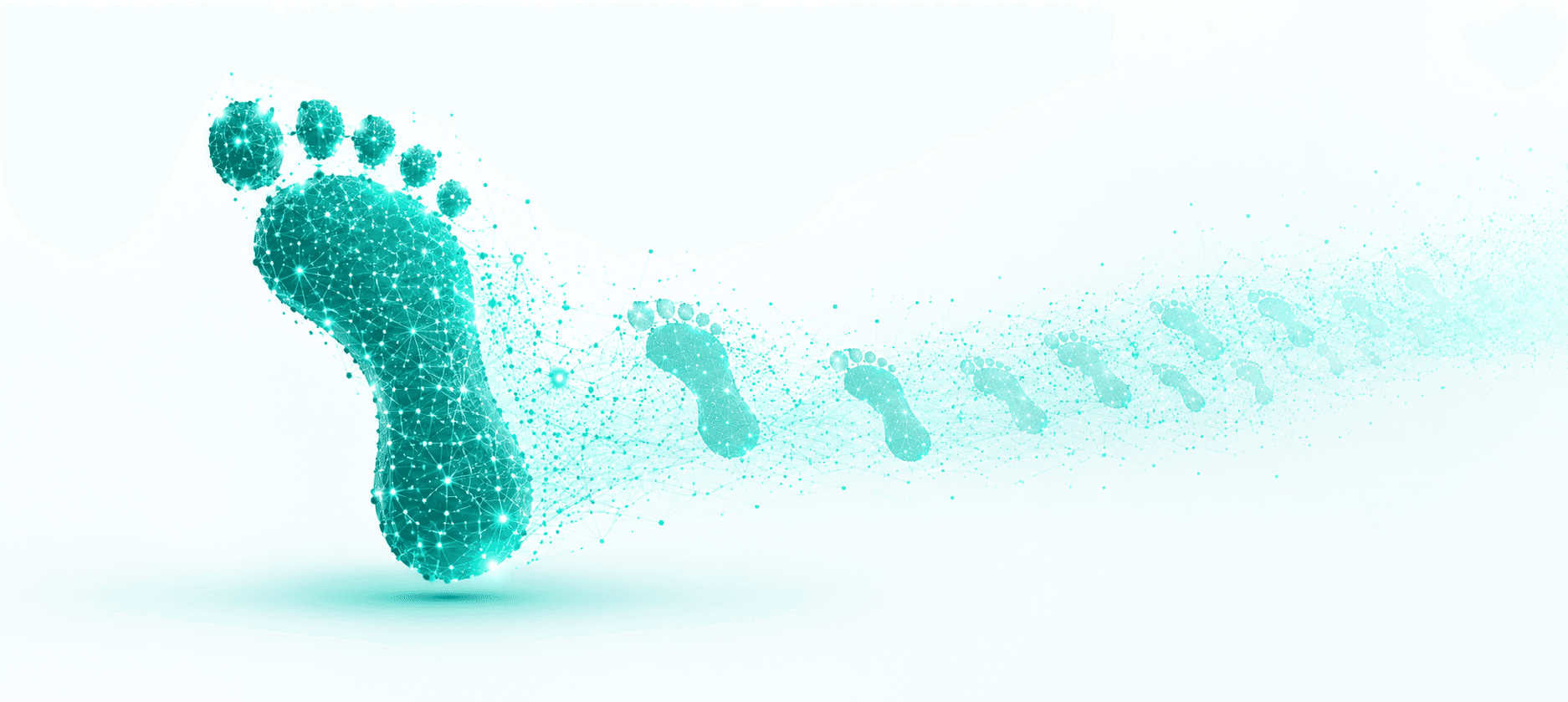 What is a digital footprint? And how to protect it from hackers