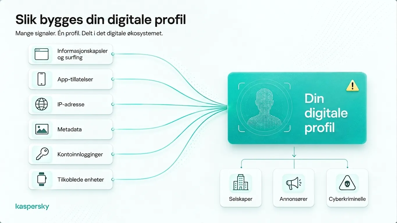 Digital profile built from browsing data, app permissions, IP addresses, metadata, and connected devices