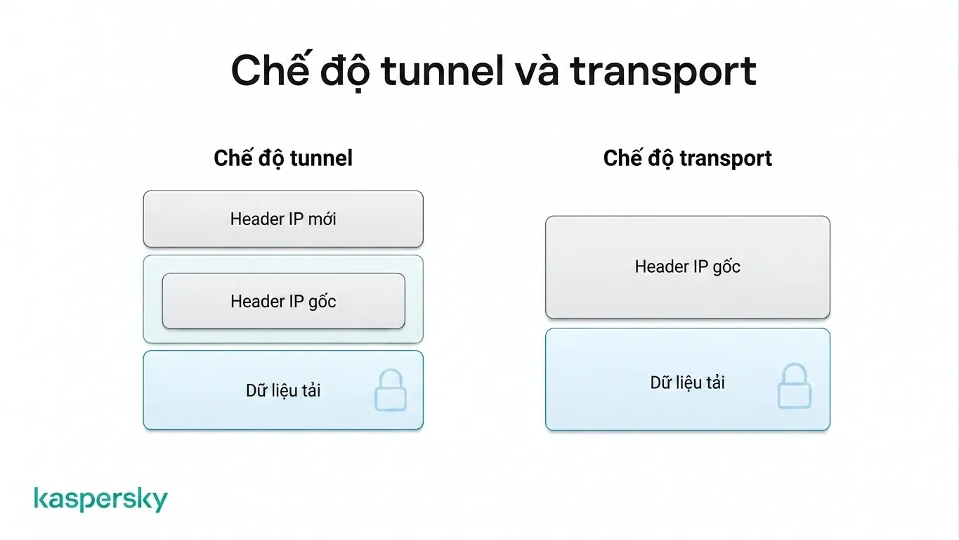 Chế độ tunnel IPsec bảo vệ gói IP gốc, còn transport mode bảo vệ payload nhưng để đầu IP hiển thị