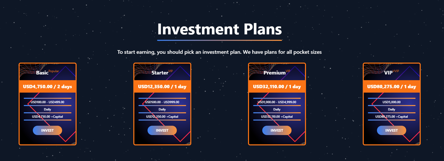Gray website example