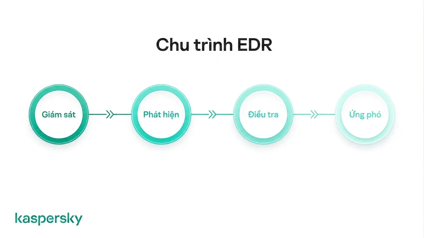 Vòng đời EDR minh họa quy trình giám sát, phát hiện, điều tra và phản ứng