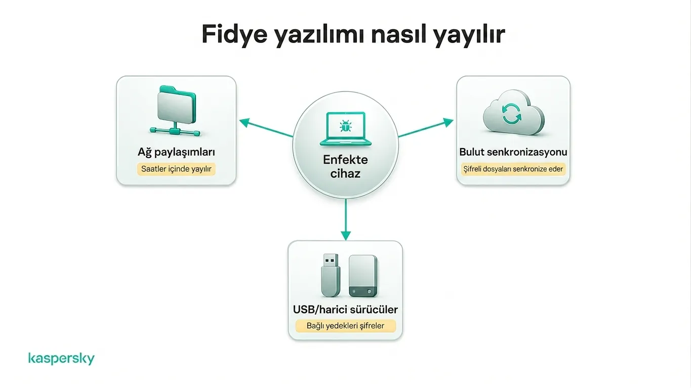 Fidye yazılımının ağ paylaşımlarına, bulut depolamaya ve harici sürücülere yayılması