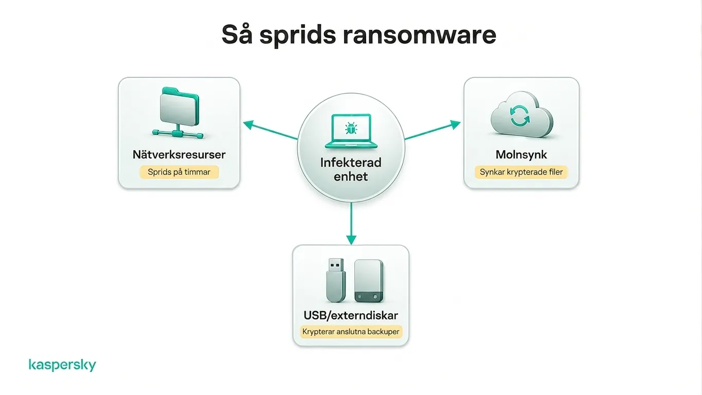 Utpressningsprogram som sprider sig till nätverksresurser, molnlagring och externa enheter