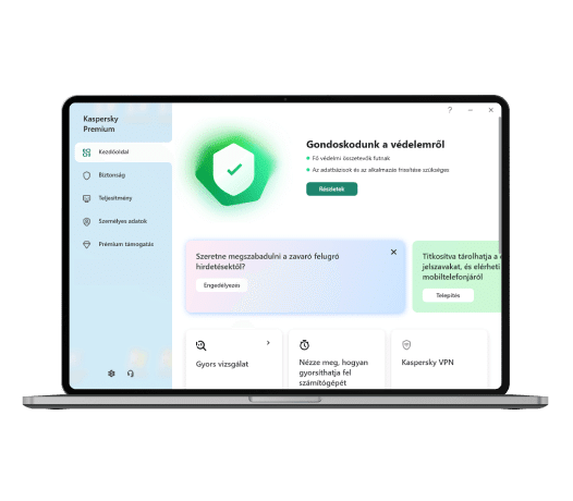 A Kaspersky Premium felülete