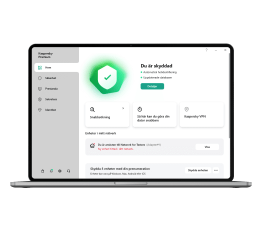 Kaspersky Premium Interface