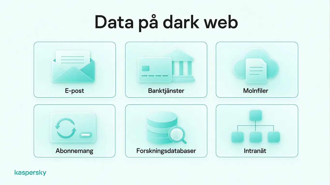 Exempel på innehåll på djupa webben, inklusive e‑post, internetbank, molnlagring, prenumerationer, forskningsdatabaser och intranät