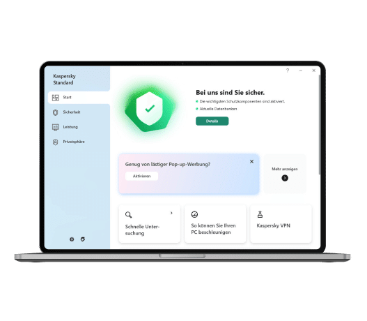 Kaspersky Standard Interface