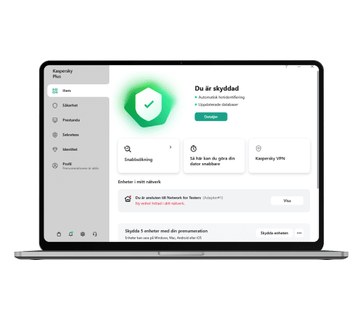 Kaspersky Standard Interface