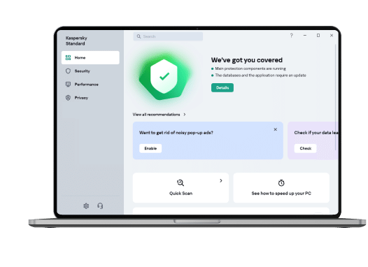 Kaspersky Standard Interface