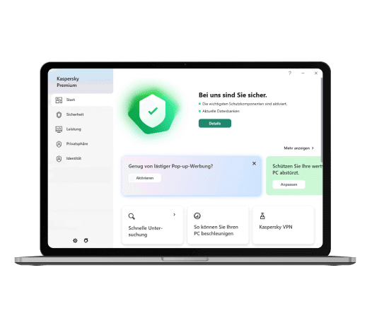 Kaspersky Premium Interface