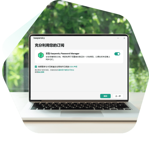 Kaspersky is easy to install