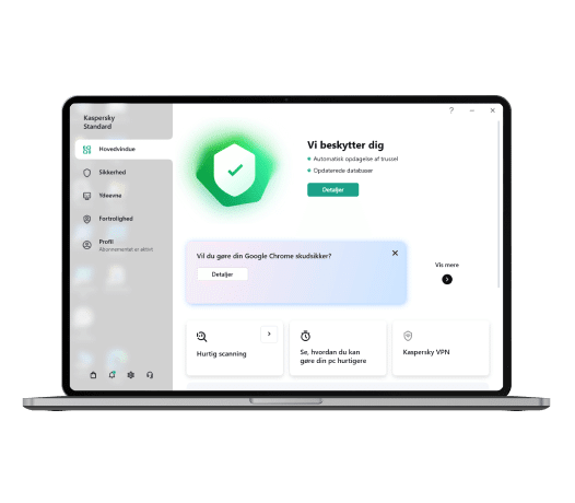 Kaspersky Standard Interface