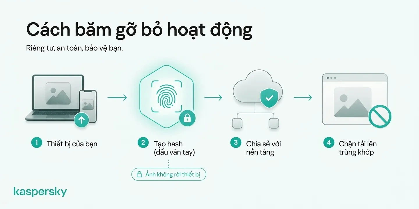 Cách hàm băm ảnh nhạy cảm tạo dấu vân tay kỹ thuật số để giúp các nền tảng tham gia chặn các lần tải lên trùng khớp
