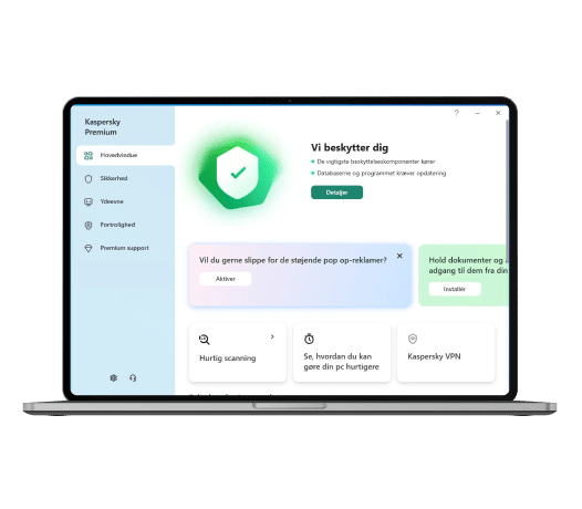 Kaspersky Premium Interface