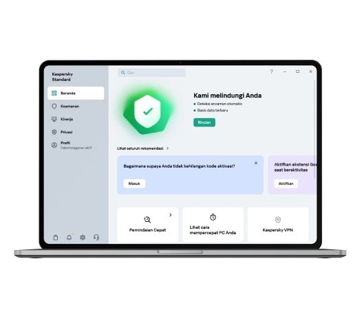 Kaspersky Standard Interface