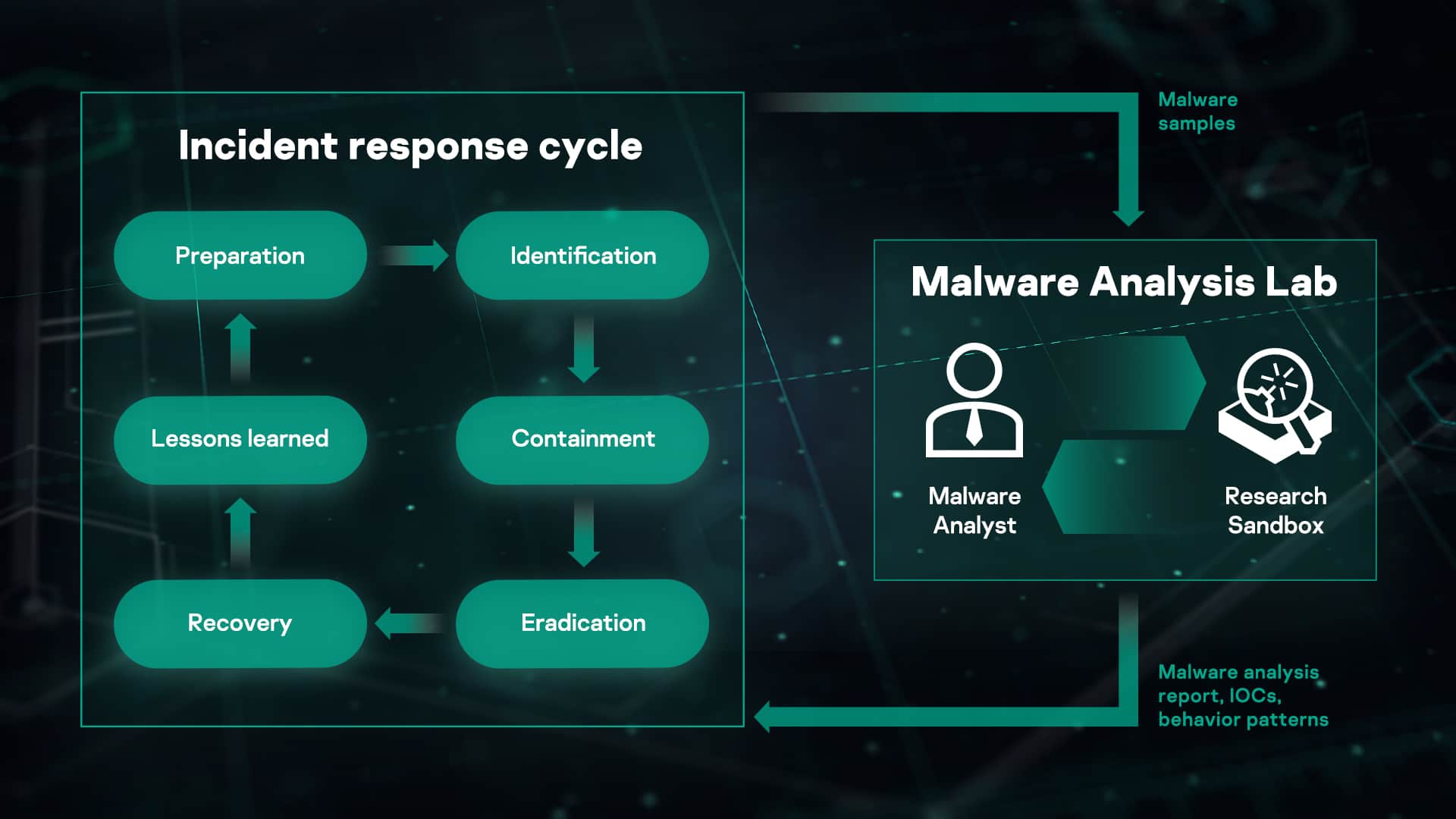 Malware analysis Malicious activity
